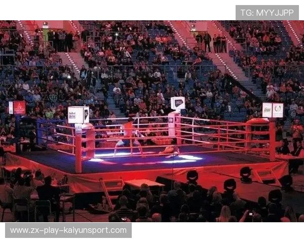 格斗UFC:顶级对决火爆引爆擂台!,ufc格斗之王